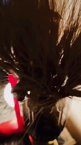 VeloraAbajur4-ezgif.com-video-to-gif-converter.gif__PID:b35737f6-2d37-44de-b980-0c239506cdce